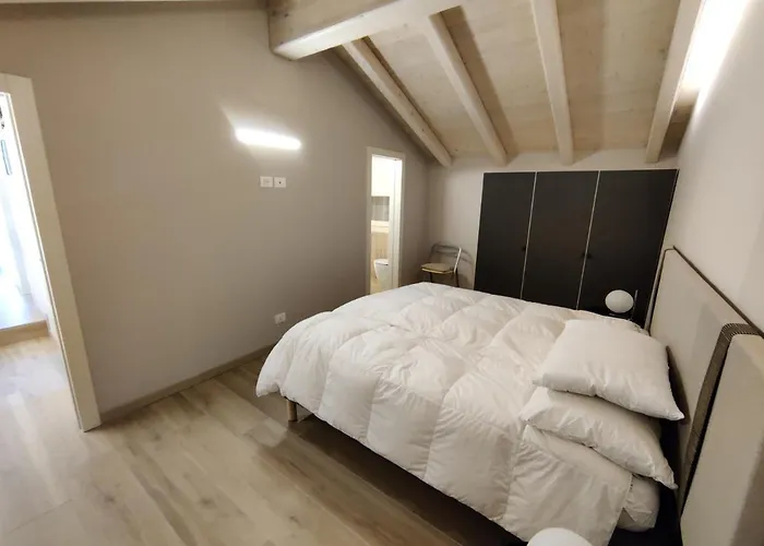 Bertesina325 Superior *